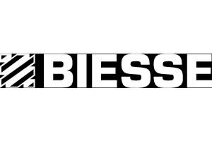 Biess